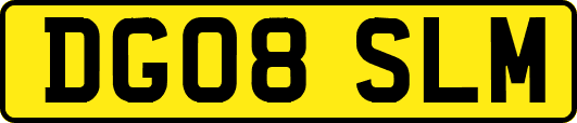 DG08SLM