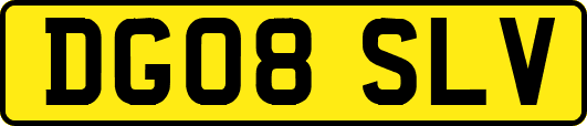 DG08SLV