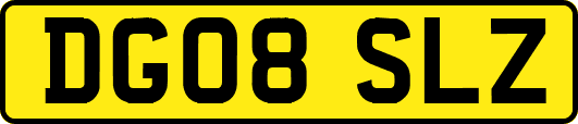 DG08SLZ