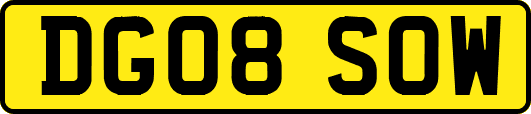 DG08SOW