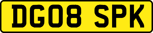 DG08SPK