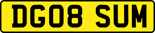DG08SUM