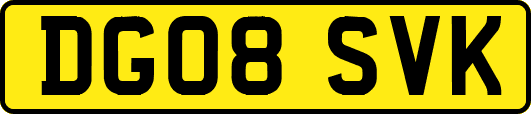 DG08SVK