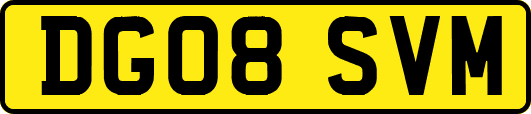 DG08SVM
