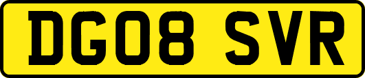 DG08SVR