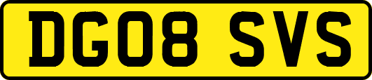 DG08SVS