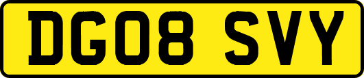 DG08SVY