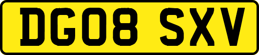 DG08SXV