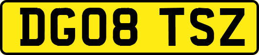 DG08TSZ