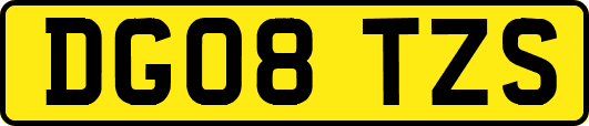 DG08TZS