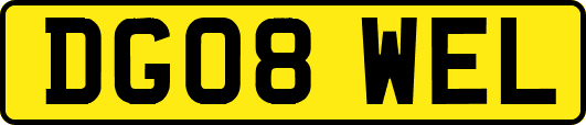 DG08WEL