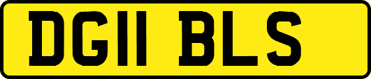 DG11BLS