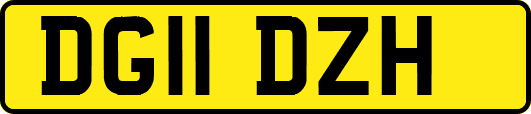 DG11DZH