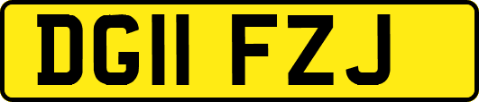 DG11FZJ