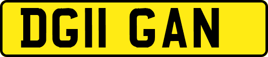 DG11GAN