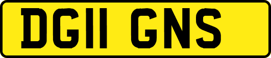 DG11GNS