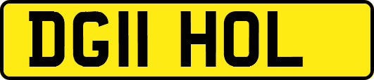 DG11HOL
