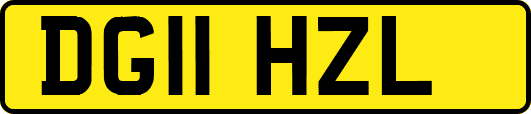 DG11HZL