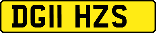 DG11HZS