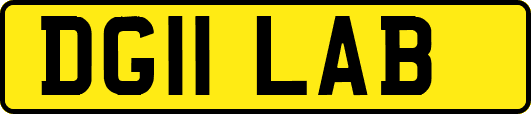 DG11LAB