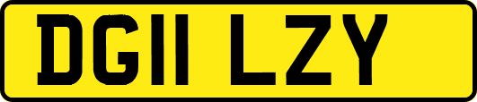 DG11LZY