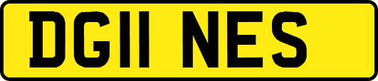 DG11NES