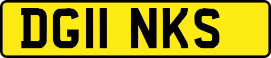 DG11NKS
