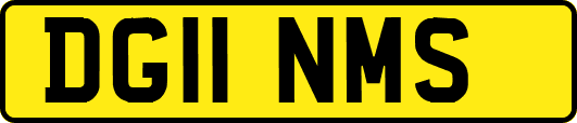 DG11NMS