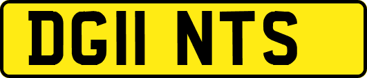 DG11NTS