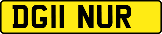 DG11NUR