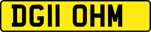 DG11OHM