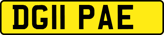 DG11PAE