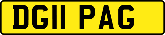DG11PAG