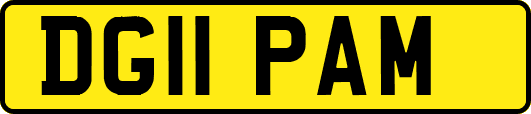 DG11PAM