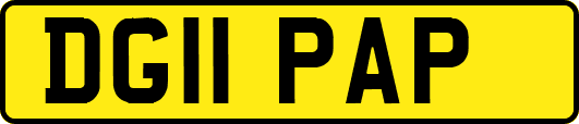 DG11PAP