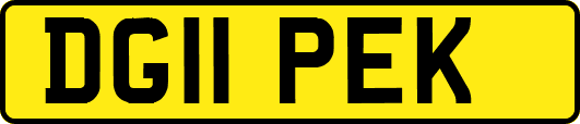 DG11PEK