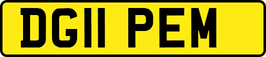 DG11PEM
