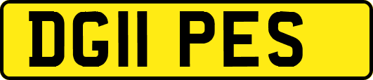 DG11PES