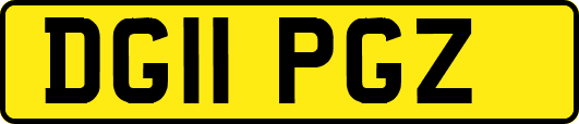 DG11PGZ