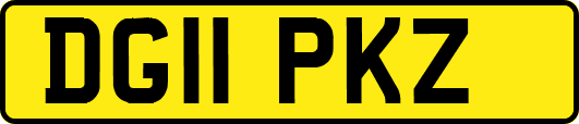 DG11PKZ