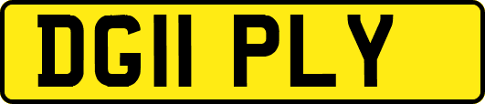 DG11PLY