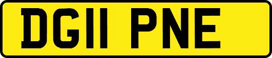 DG11PNE