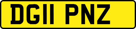 DG11PNZ