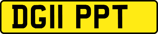 DG11PPT