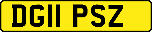DG11PSZ