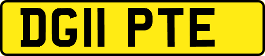 DG11PTE