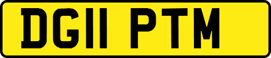 DG11PTM