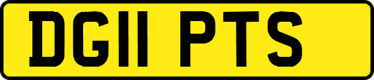 DG11PTS