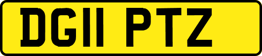 DG11PTZ