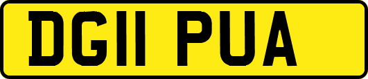 DG11PUA